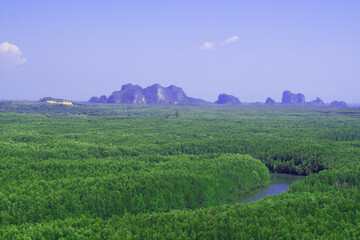 Landscape green nature of Ta Pe Canal with mangrove and lime stone mountain - unseen thailand from Horizon Views 360°   ฺBan Nam Rap or Khao jom Pa in Trang Thailand - Travel outdoor adventure 