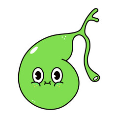 Gallbladder character. Vector hand drawn traditional cartoon vintage, retro, kawaii character illustration icon. Isolated on white background. Gallbladder character concept