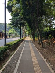 Obraz premium road in the park