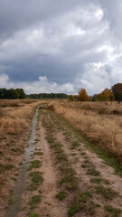 Fototapeta na wymiar A trail through the middle of a dry meadow in the autumn season. Wild place close to the forest far from civilization 