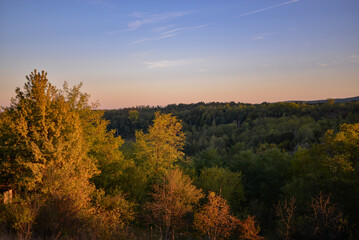A beautiful autumn landscape with a huge colorful forest. Astonishing view into the woods colored in golden and yellow during fall season