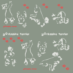 Textile pattern with cute little dogs. Decorative Yorkshire terrier in funny lying poses