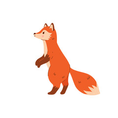 Obraz premium Cute cartoon fox is standing isolate on white background. Vector graphics.