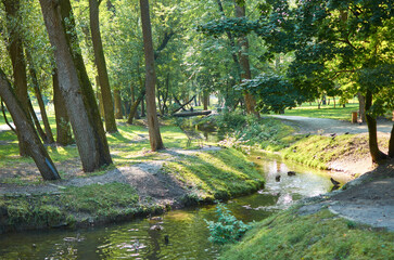 Ukraine Kharkiv park Sarzhin yar river trees ducks log bridge sunny day green grass landscape view