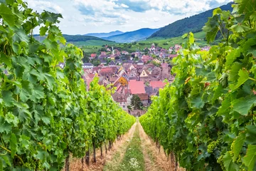Zelfklevend Fotobehang Village touristique de Riquewihr dans les vignes d’Alsace  © Unclesam