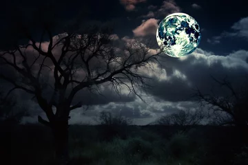 Fotobehang Volle maan en bomen Dark sky illuminated by a bright full moon. Generative AI