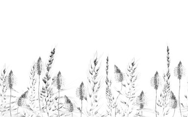 Grass Seamless Watercolor Pattern. Summer Grass Motif. Vintage Garden Wallpapaer.. Monochrome and Greyscale Plantago and Apera Dried Wild Plants. Botanical Meadow Border. Abstract Floral Illustration.