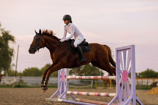 Dressage horse and rider in uniform during equestrian jumping competition