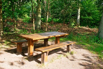 Naklejka premium Forêt de Marchiennes