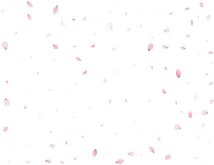 Magic Cherry Background