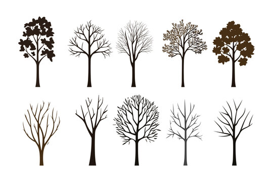 Big set of tree silhouettes vector isolated on white background