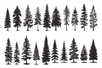 Naklejka premium Set of silhouettes of spruce trees vector illustration