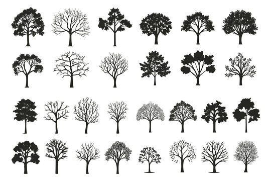 Big collection of tree silhouettes isolated on white background vector illustration