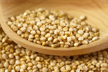 White quinoa uncooked seeds texture close up macro. Selective focus.