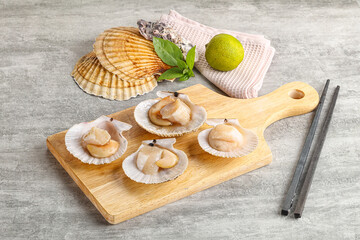 Raw natural scallop in its shell