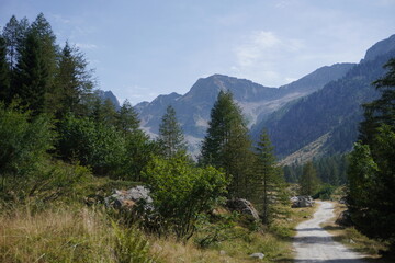 Fototapeta na wymiar Paesaggio di montagna, con colline, sentieri, alberi, ruscelli e cielo sereno 