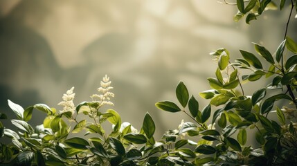 Plant leaves cast a blurry shadow on the white wall. Minimal abstract background for product presentation. Spring and summer.