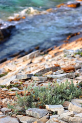 Beautiful wild beach on island Korcula, illuminated by warm sunset light.