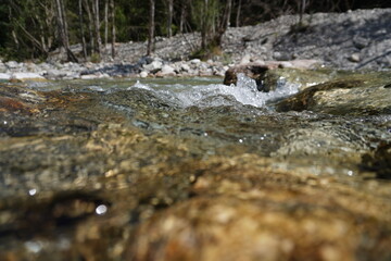 Ruscello di montagna con sassi e acqua limpida, italia