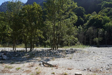 Paesaggio di montagna, con colline, sentieri, alberi, ruscelli e cielo sereno 