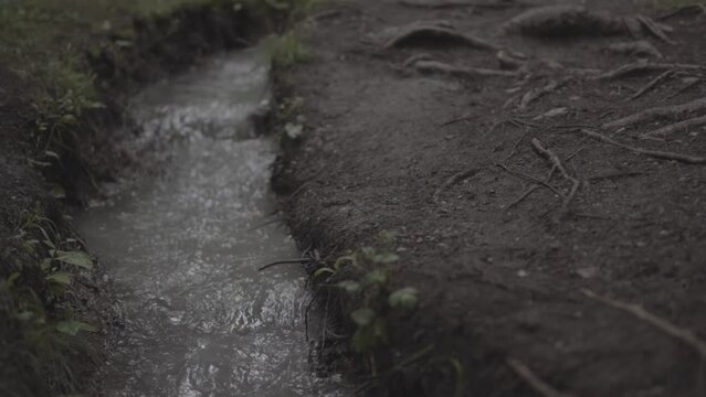 Bachlauf
