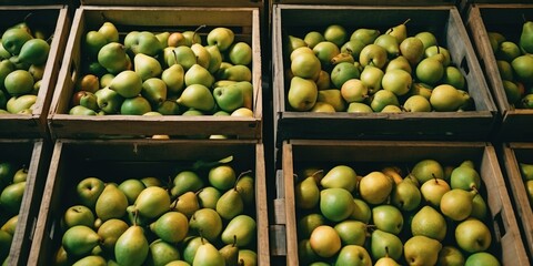 Green Williams pears in boxes harvested and ready for sale