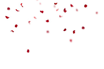 Floating red rose petal isolated on on a transparent background png. Background concept for love greetings on valentines day and mothers day. Space for text © Daria