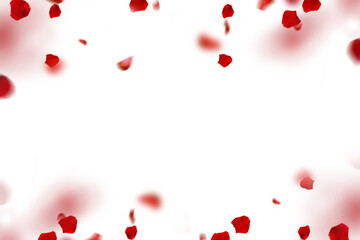 Floating red rose petal isolated on on a transparent background png. Background concept for love greetings on valentines day and mothers day. Space for text © Daria