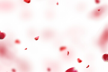 Floating red rose petal isolated on on a transparent background png. Background concept for love greetings on valentines day and mothers day. Space for text © Daria
