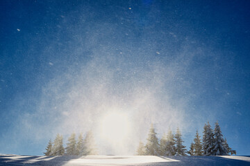 Obraz na płótnie Canvas winter landscape with snow covered trees