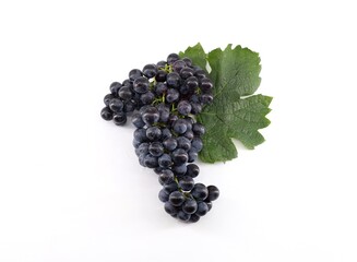 Cabernet franc grape with leaf on white background.	