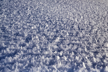 close-up of fresh snow, powder