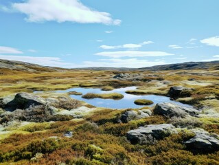 Fototapeta na wymiar Mossy Tundra Expanse