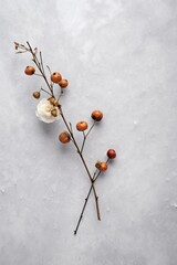flat lay winter icy pine cone, oak, leaf, berry,