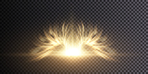 Glowing stylized angel wings on a transparent background. wings overlay light effect vector.
