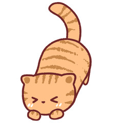 Ginger cat stretches