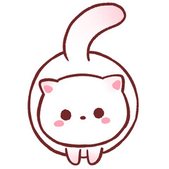 White cat looking you