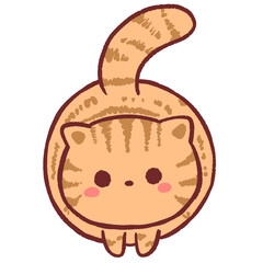 Ginger cat looking you