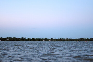 Los Flamencos National Reserve, Colombia - January 2 2023: Landscape of blue lake with pink flamingo in the distance