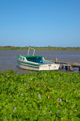 Barranquilla, Colombia - January 3 2023: Outboard motor on a small boat with vegetation of the Magdalena River in the background. Barranquilla. Colombia.