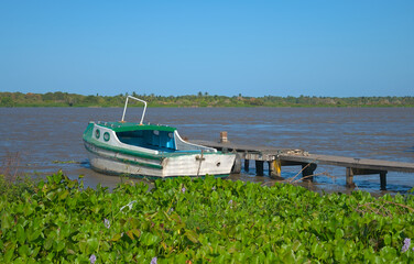 Barranquilla, Colombia - January 3 2023: Outboard motor on a small boat with vegetation of the Magdalena River in the background. Barranquilla. Colombia.