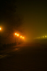 foggy night park