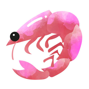 recommend clip art: Jolie crevette rose, style fun, clipart fond transparent