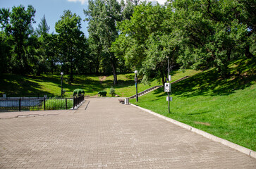 Зона парка отдыха с деревьями и газоном