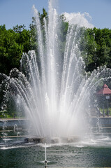A pond with working fountains, surrounded by a monument of trees and lawn