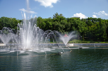 Fototapeta premium A pond with working fountains, surrounded by a monument of trees and lawn