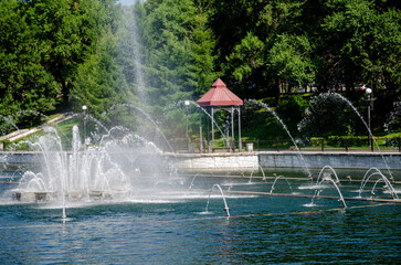 A pond with working fountains, surrounded by a monument of trees and lawn