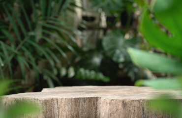 Wood tabletop podium floor in outdoors blur green leaf tropical forest nature landscape background.cosmetic natural product mock up placement pedestal stand display,jungle summer concept.