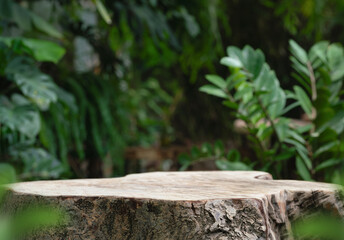 Wood tabletop podium floor in outdoors blur green leaf tropical forest nature landscape background.cosmetic natural product mock up placement pedestal stand display,jungle summer concept.