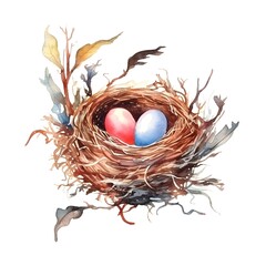 Obraz premium nest with eggs